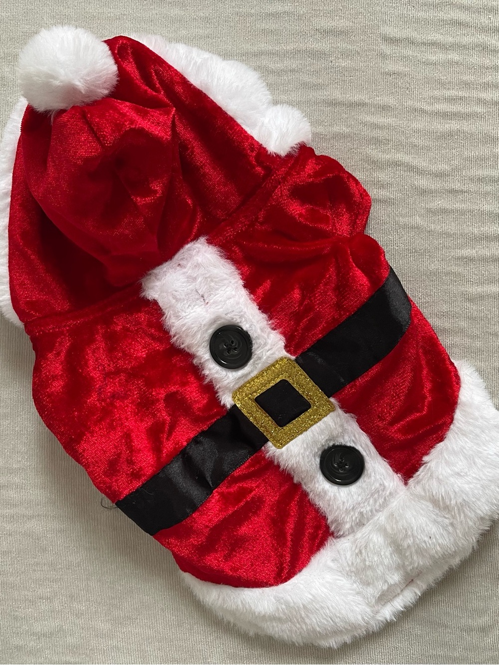 Santa Cat Costume